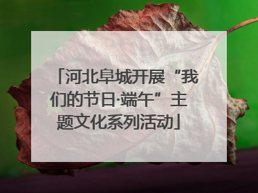 河北阜城开展“我们的节日·端午”主题文化系列活动
